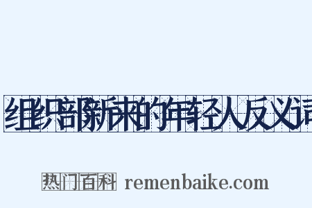 组织部新来的年轻人反义词是什么意思的图片